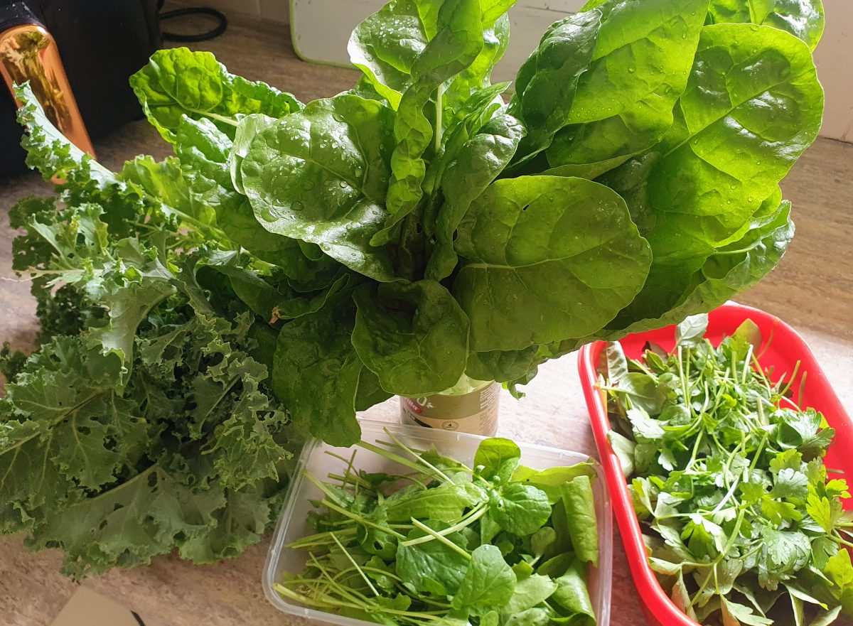 How far will Zoe Cartwright go to protect her garden's bounty from thieving pests?