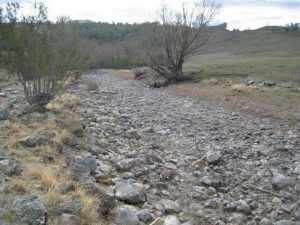 Maclaughlin River 2004