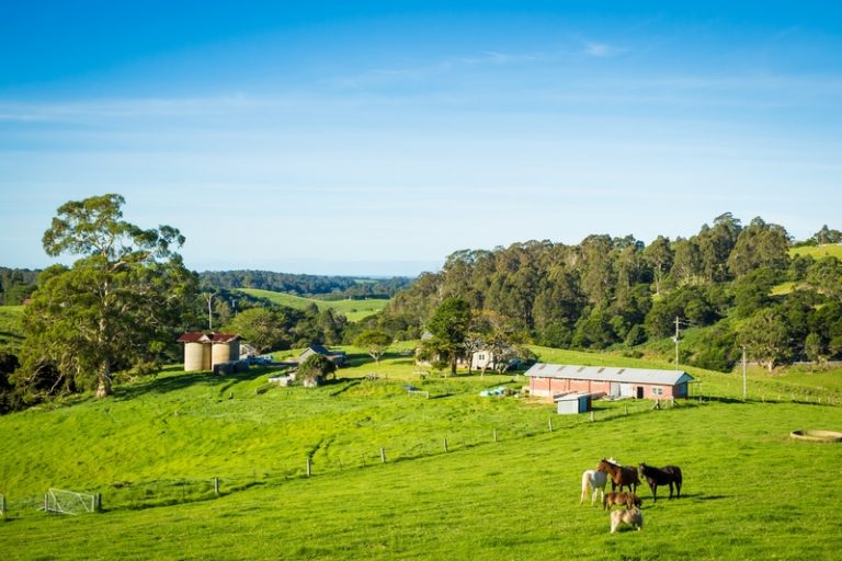 River Cottage Australia Central Tilba sold! Meet the new owner