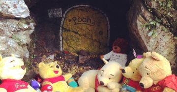 Pooh Bear's Corner takes a refreshing seaside holiday