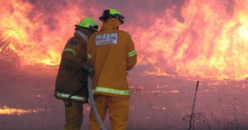 'Below normal' bushfire outlook for Capital region but potential threat still there