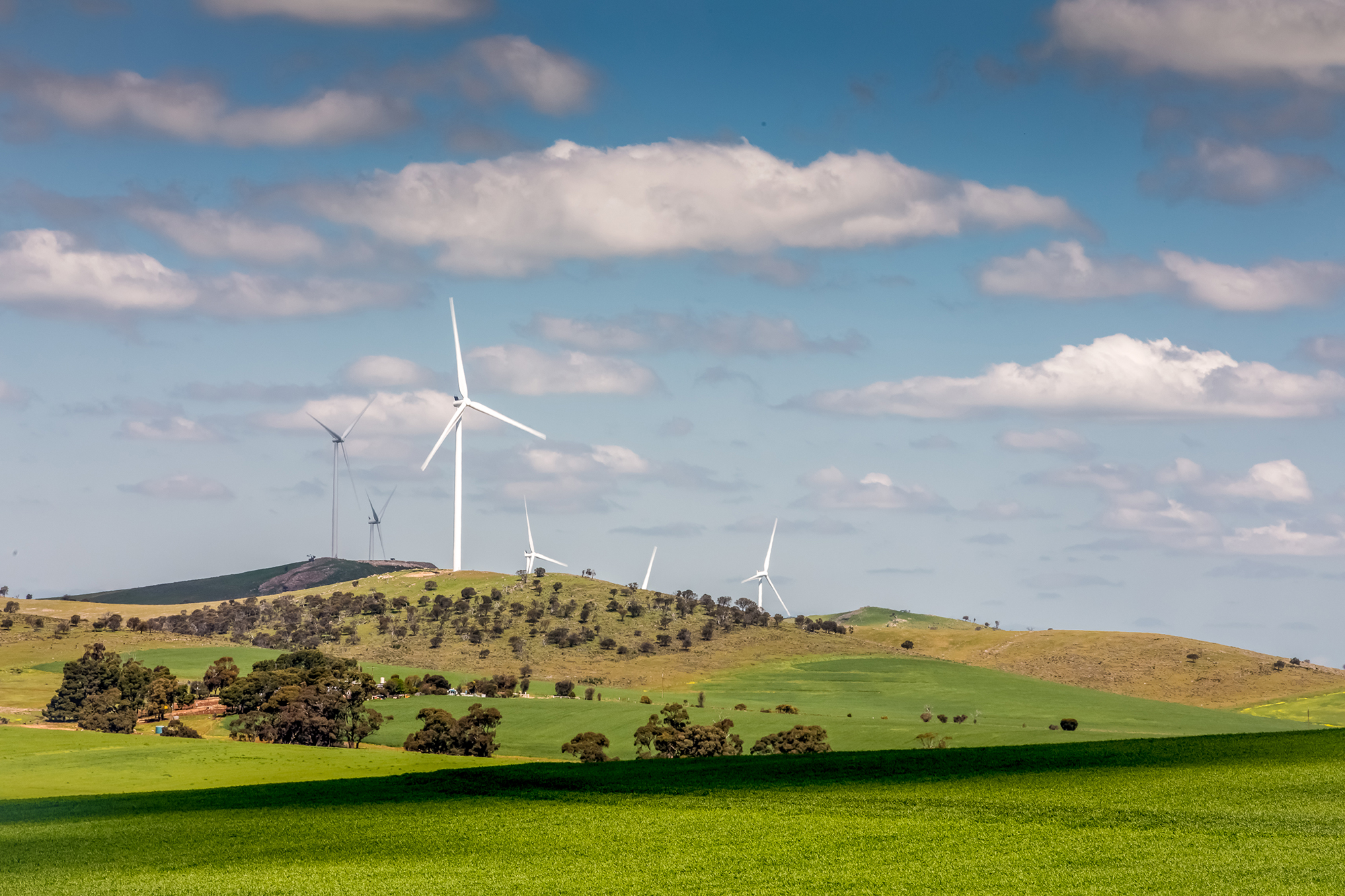 A South Australian wind farm helps the ACT create history