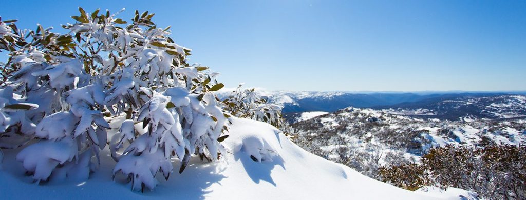 Perisher Valley. Photo: Snowy Mountains Tourism