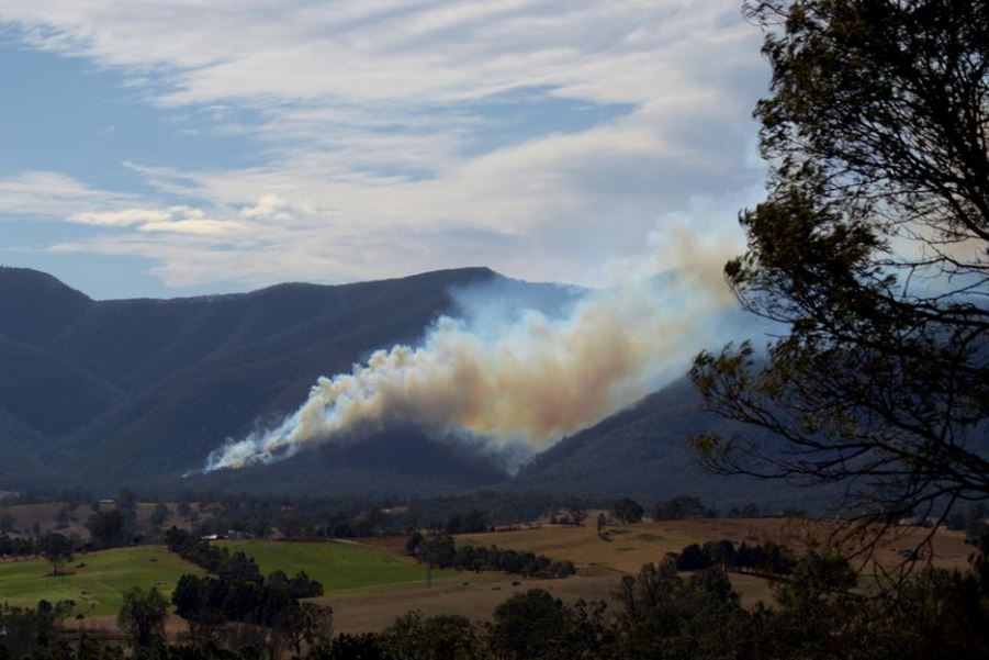 The early stages of the Yankees Gap Road Fire, captured by Rachel Helmreich‎ at around 11am.