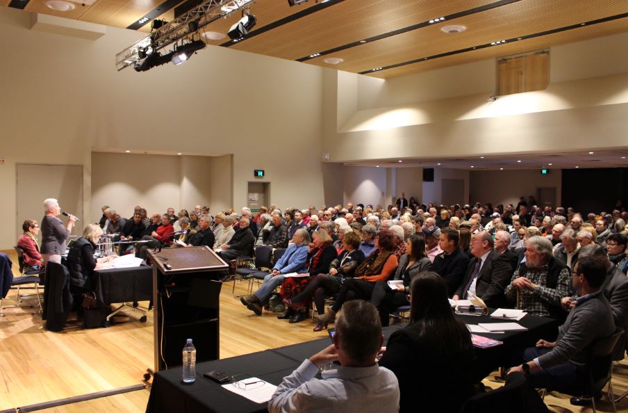 Pam Allan, Chair of the Southern Region Joint Planning Panel. Photo: Ian Campbell.