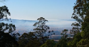 Bushfire-funded innovation summit to boost business opportunities in the Bega Valley