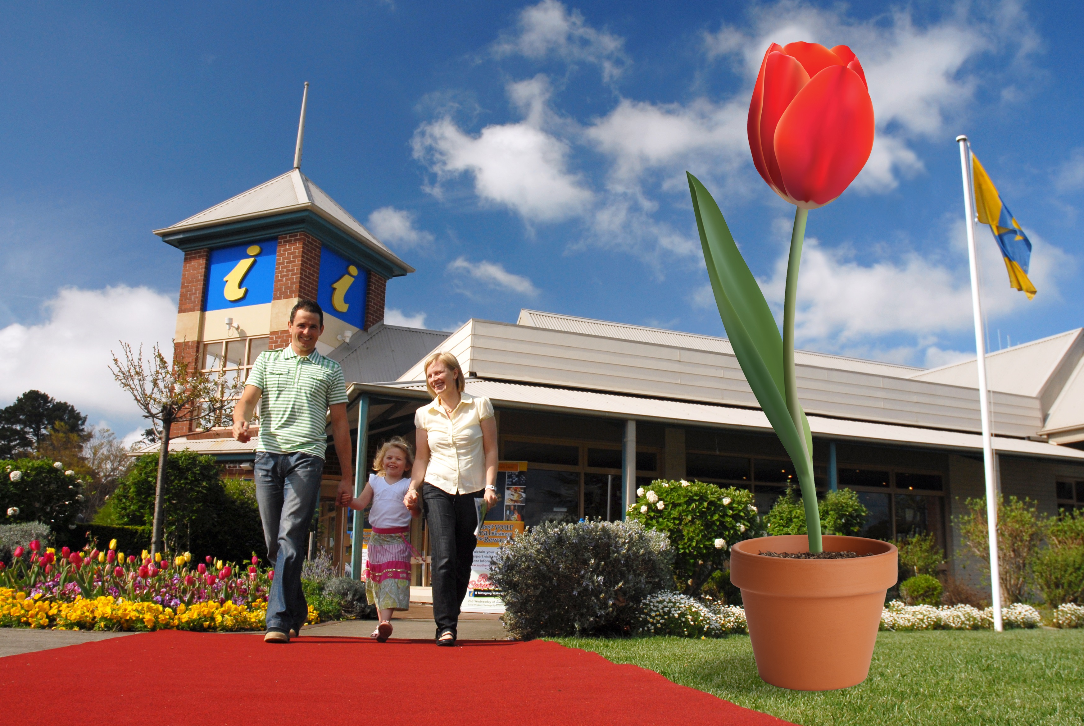 Is the Big Tulip the next big thing in Australia?