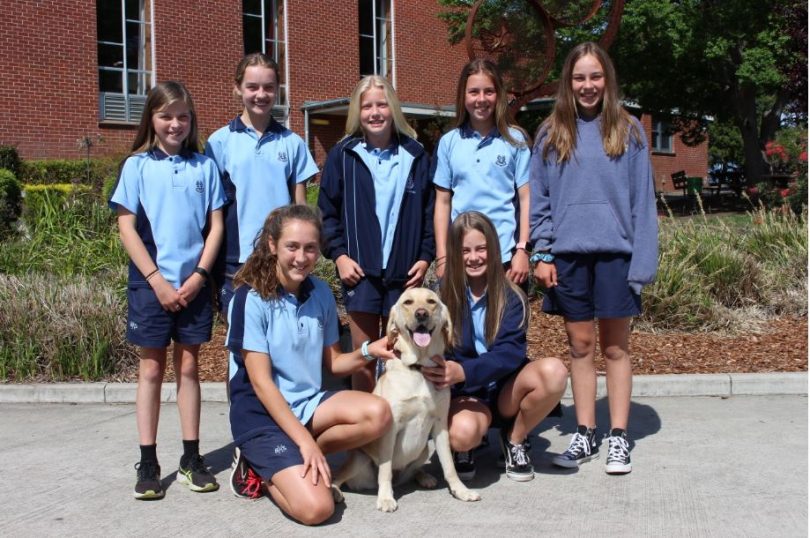 Back row left to right: Jasmin Constance, Mia Waugh, Phoebe Ruzicka, Phoebe Armstrong, Lara Parbery. Front row left to right: Indi Cook, Jayda Walsh and Felecia! Photo: Ian Campbell.