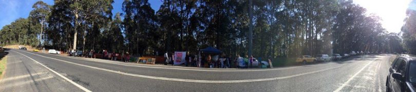 Protesters gather at Corunna State Forest south of Narooma, Nov 11. Photo: Corunna Forest Facebook.