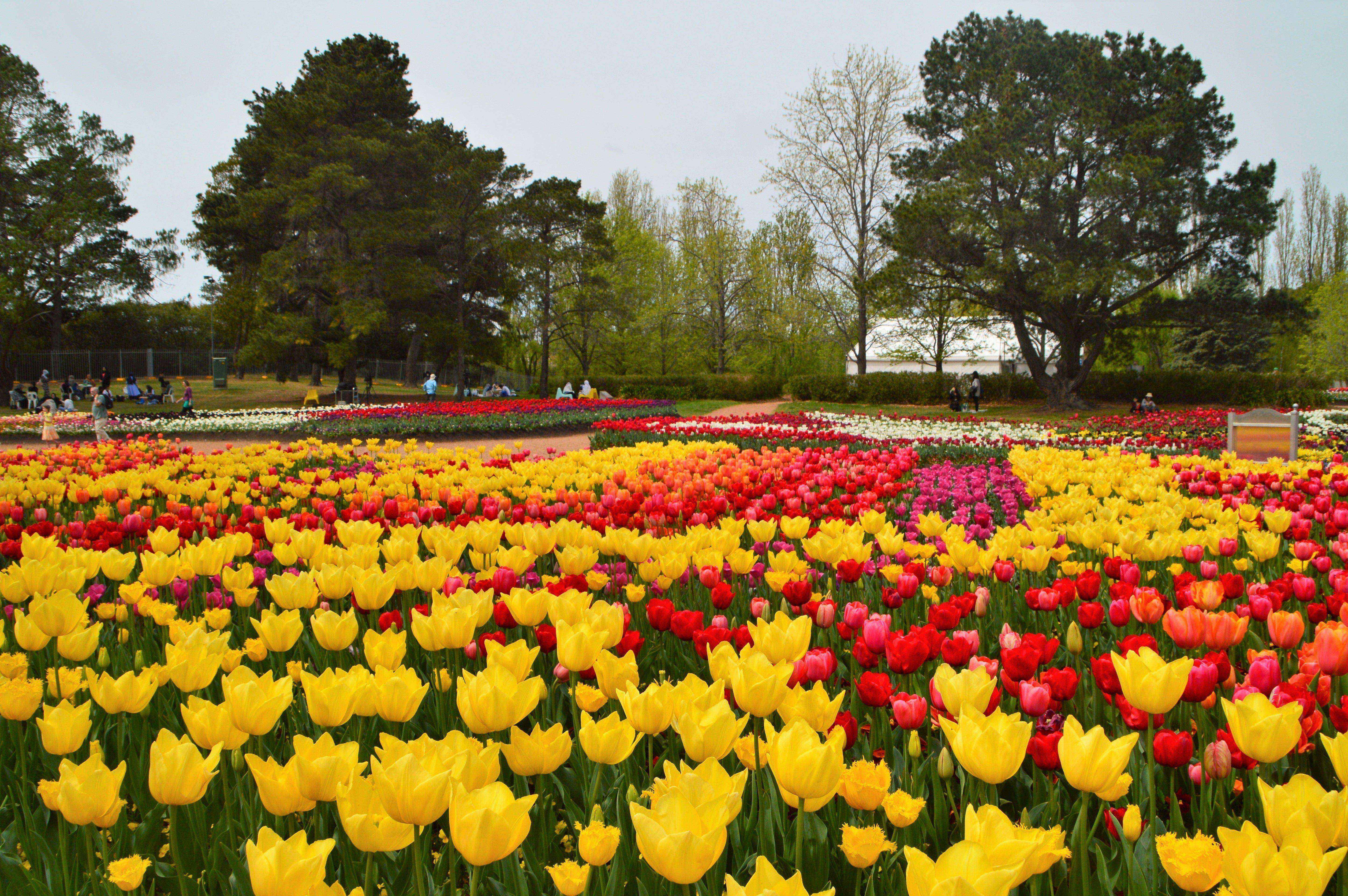 World in Bloom: Floriade 2019 aims to draw record crowds on a trip around the globe