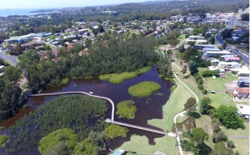 The Batemans Bay Water Gardens and parts of the Catalina golf course was inundated with 100,000 flying foxes in 2016. Photo: Eurobodalla Shire Council.