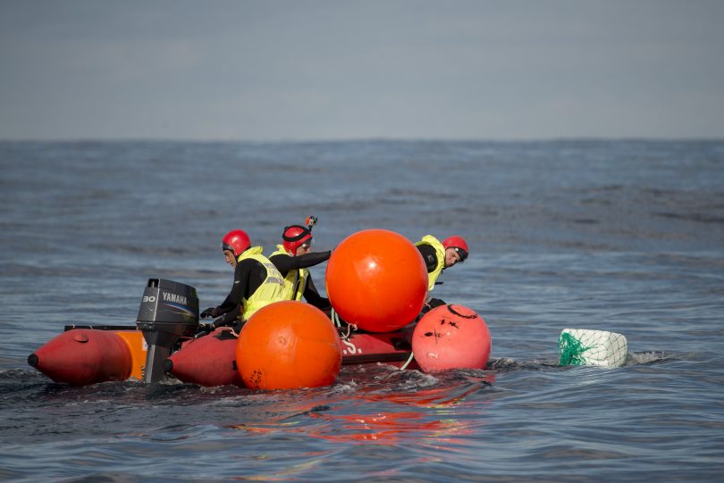 Buoys are deployed to slow the whale down, Narooma 2014. Photo: NSW Marine Parks Justin Gilligan