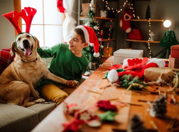Giving your dog the ham bone for a Christmas treat can prove deadly warns vet