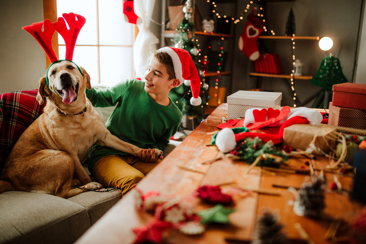 Not sharing can be caring when it comes to Christmas treats and your pets