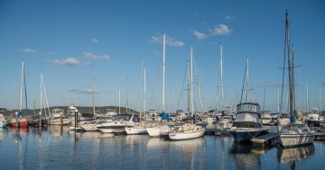 Two sailors die as wild weather hits Sydney to Hobart yacht race