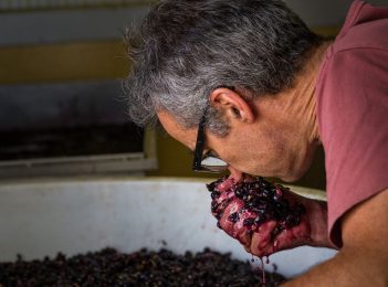 Winning winemaker and keen cook is Region’s newest columnist
