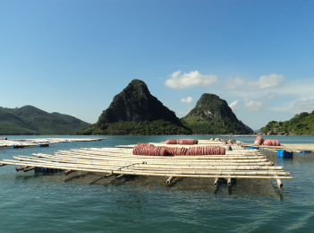 NSW oyster industry at work in Vietnam