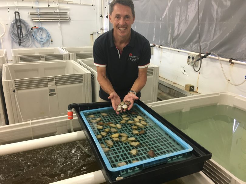 DPI scientists led by Dr Wayne O’Connor are helping develop bivalve production in Vietnam. Photo: NSW DPI