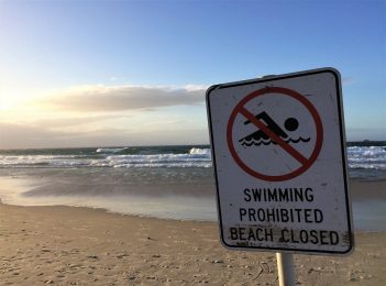 Two South Coast beaches closed today as white sharks spotted nearby