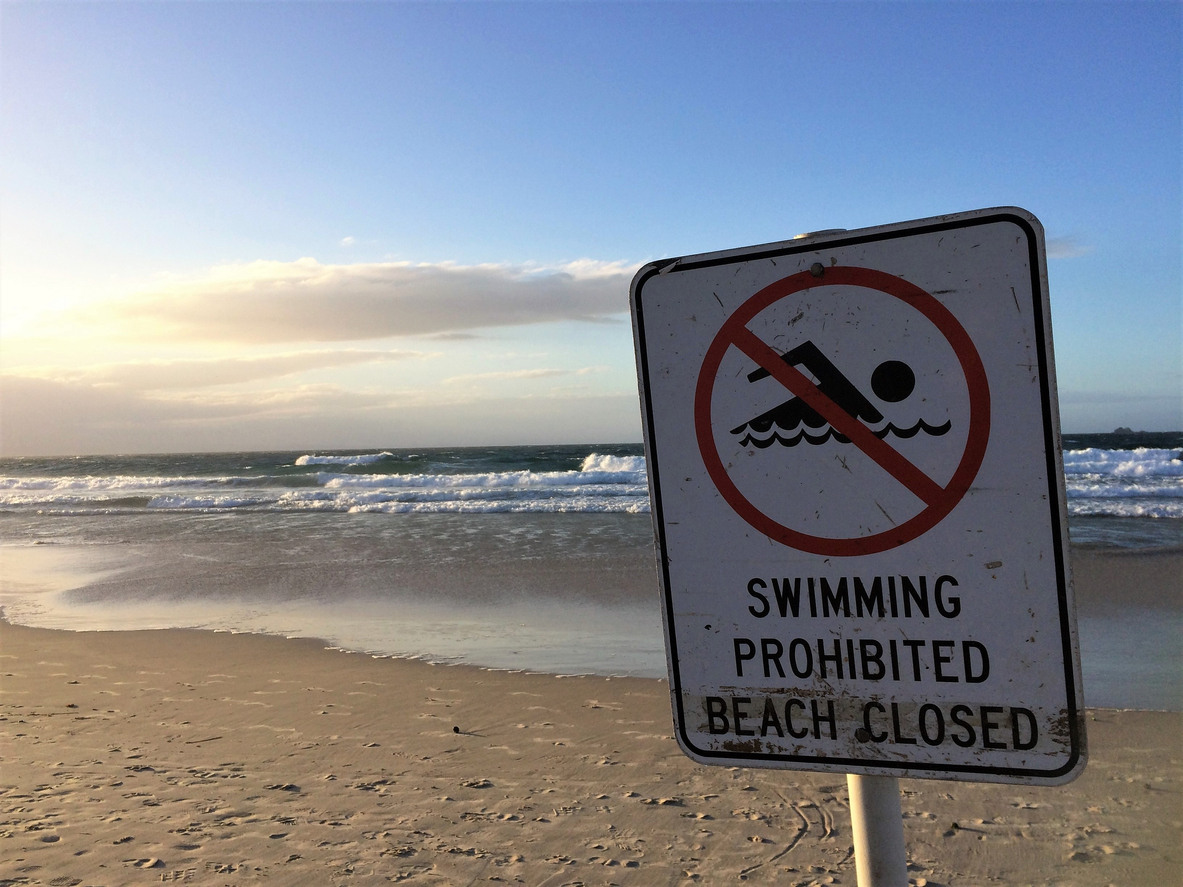 Two South Coast beaches closed today as white sharks spotted nearby