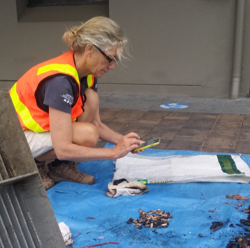 Dirty work! Environmental Education Officer, Bernadette Davis logs the number of cigarette butts caught in the Drain Buddies on the Australian Marine Debris Database smartphone app. Photo: ESC.