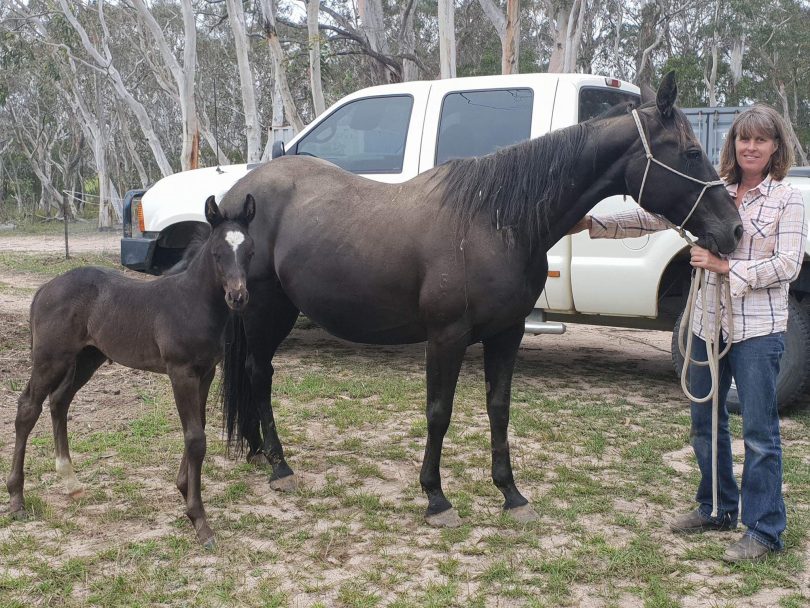 Kerry Gibson with her mare and foal. Photos: Supplied. 