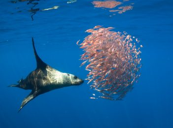 Photo comp winners give us a ‘wild eye’ on local environment