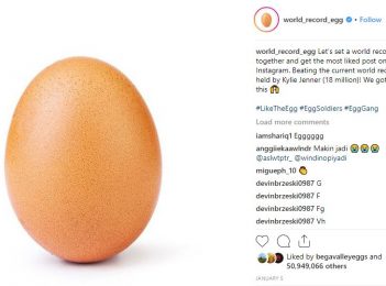 Candelo chook lays rival to World Record Egg