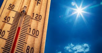 Heat warning issued for southern NSW as temperatures soar