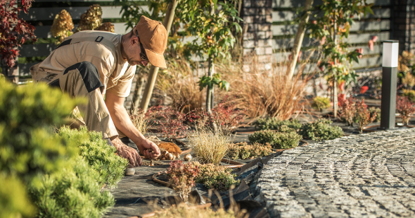 Plants are a blooming great gift - but you need to choose carefully