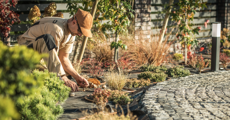 Plants are a blooming great gift - but you need to choose carefully