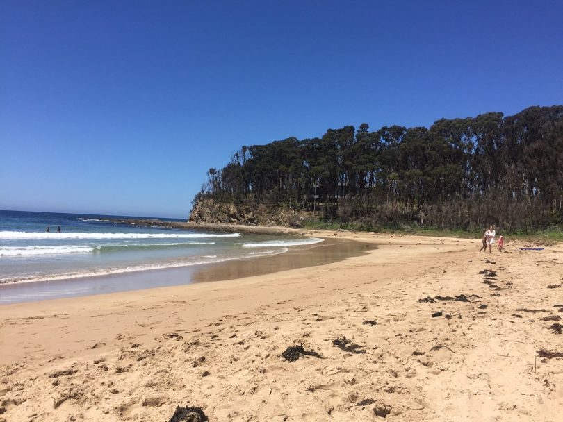 McKenzies Beach at Malua Bay. Time it right and you might get this beautiful stretch of sand to yourself. Photo: Kim Treasure.