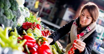The Best Markets in Batemans Bay