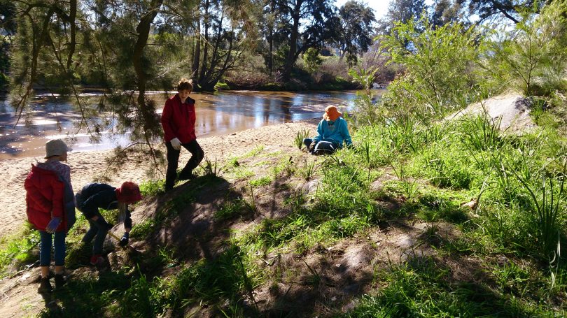 Children helping revegetate the Bega River with native species with BRAWL. Photo: Supplied.