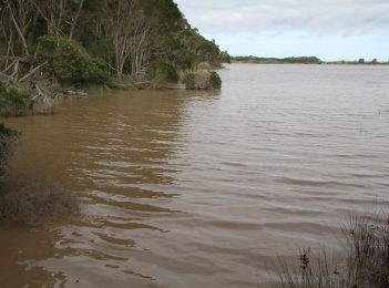 Back Lagoon turns to chocolate milk as muddy Mirador overflows