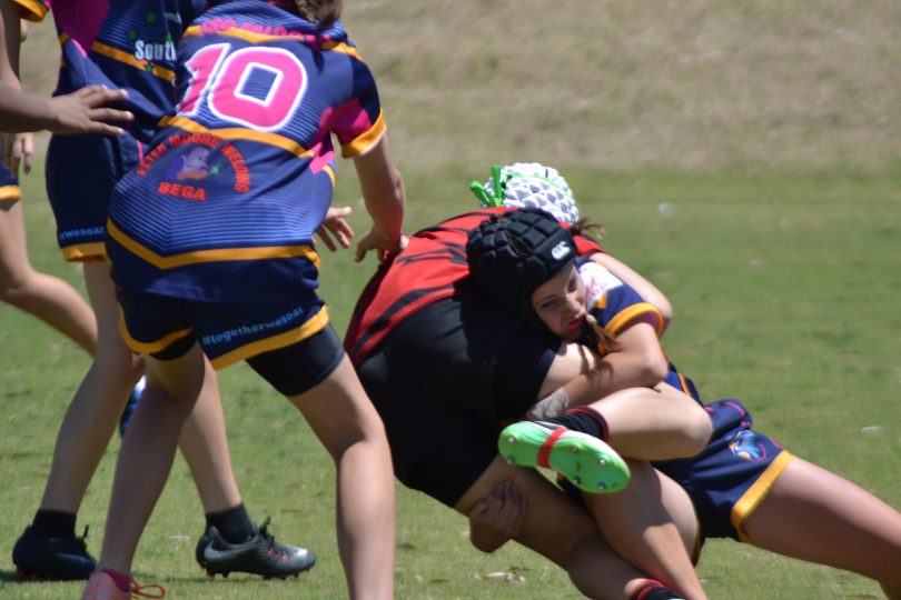 She may be small, but she is mighty. Falcon Indi Dyball from Cooma puts on another of her trademark crashing tackles on a Batemans Bay player at the Brumbies' Super 7s Series in late 2018. Photo: Falcons