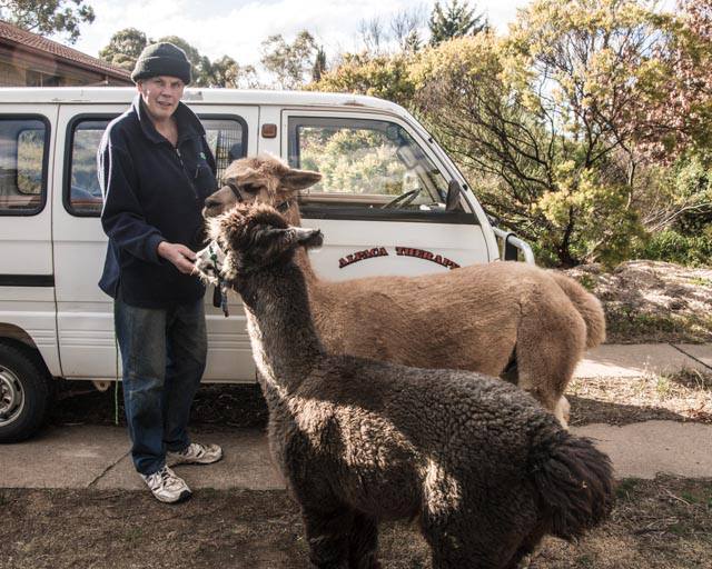 Unleashed dog savages therapy alpaca while owner films attack