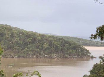 Merimbula’s Back Lake turns brown – again