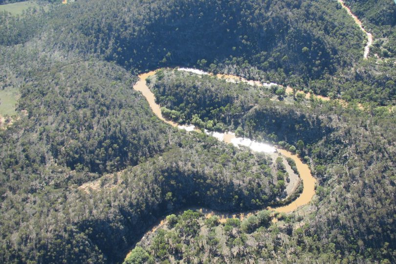 An aerial view of the Murrumbidgee River and the turbidity that has impacted Cooma's water supply. Photo: SMRC.