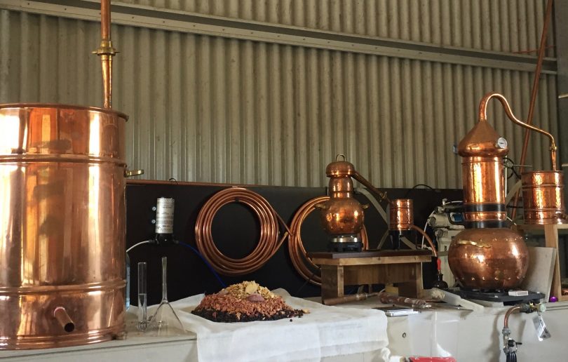 Beautiful copper stills in the North of Eden distillery. Photo: Lisa Herbert