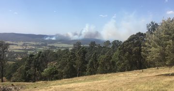 Tathra bushfire survivors sue Essential Energy over 2018 blaze that destroyed 65 homes