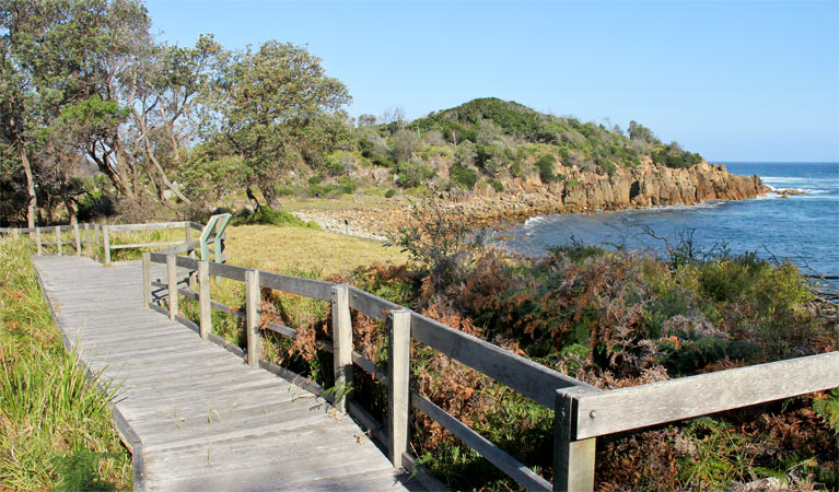 Mimosa Rocks Walking Track, Mimosa Rocks National Park. Photo: John Yurasek, NPWS.