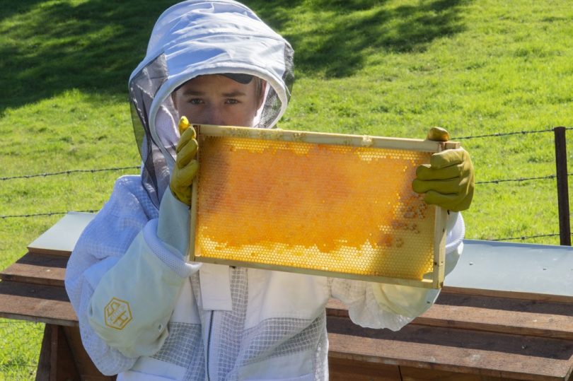 Bega High School students have established a working apiary at the school’s agricultural farm. Photo: Supplied.