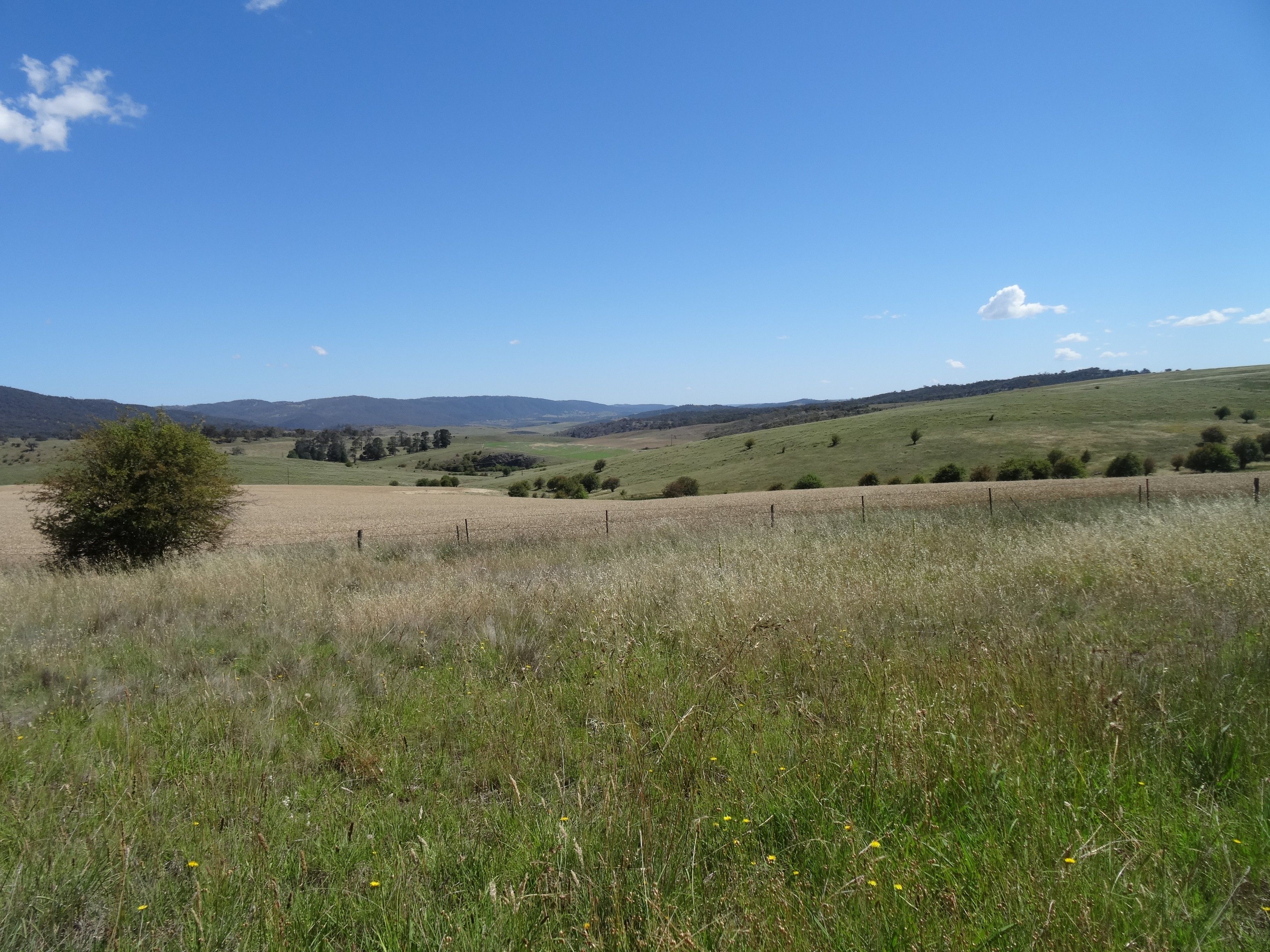 The scenic route: Jindabyne to Cooma