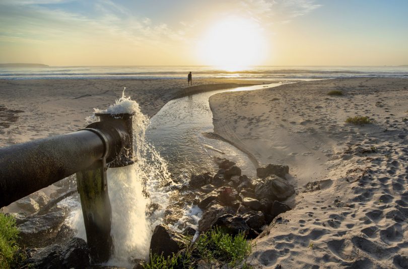 The poo pipe that once did extend into the sea was destroyed in the 1970's, ever since the remains of the pipeline have dumped excess treated effluent on to Pambula - Merimbula beach. Photo: Brent Occleshaw for BVSC.