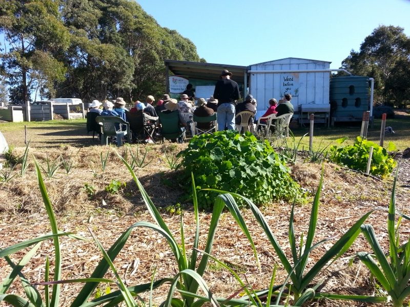 New Moruya community garden ready to grow 'Veggies for All' even in drought