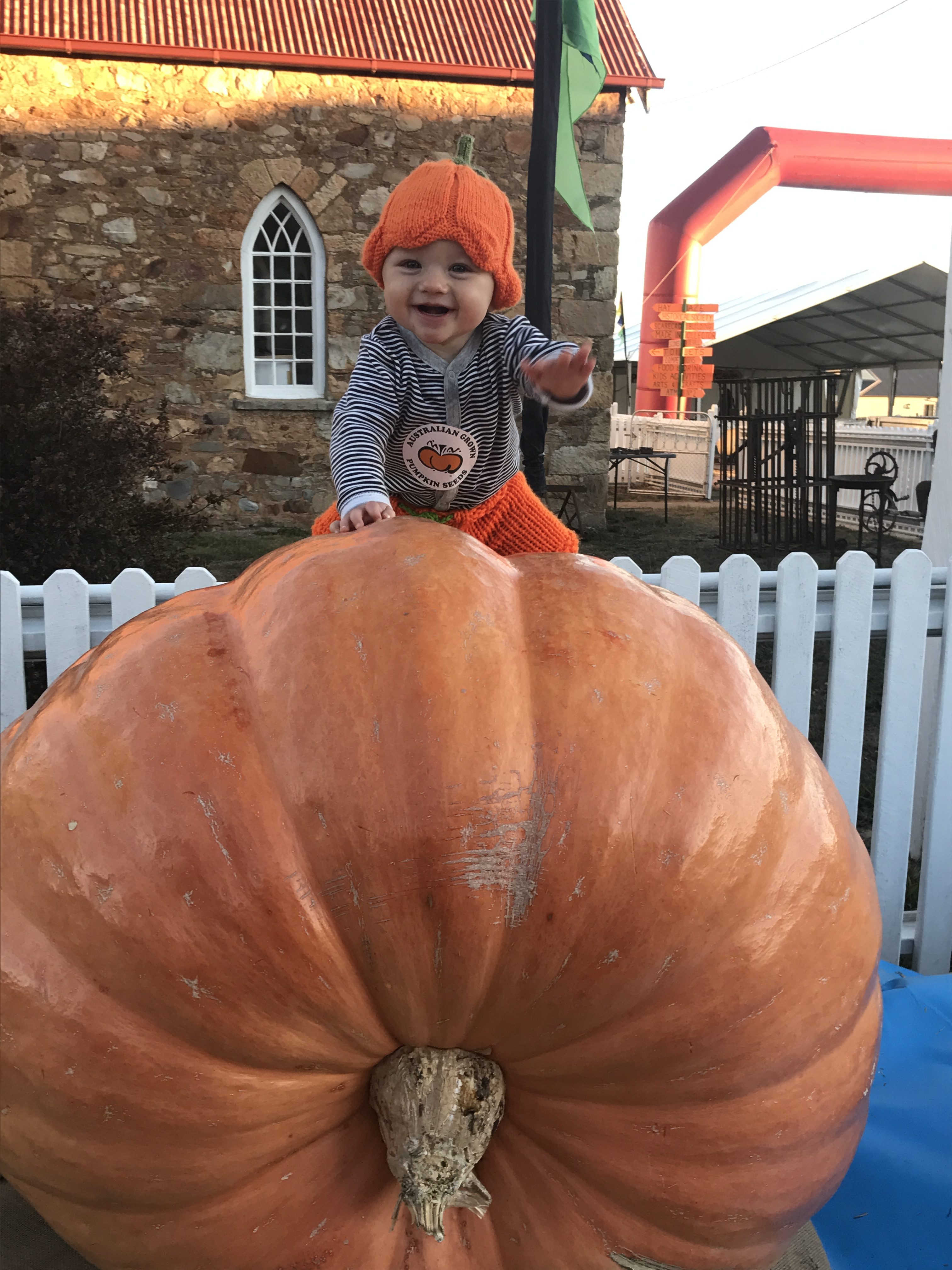 Pumpkins, sunshine and family fun at Collector this Sunday
