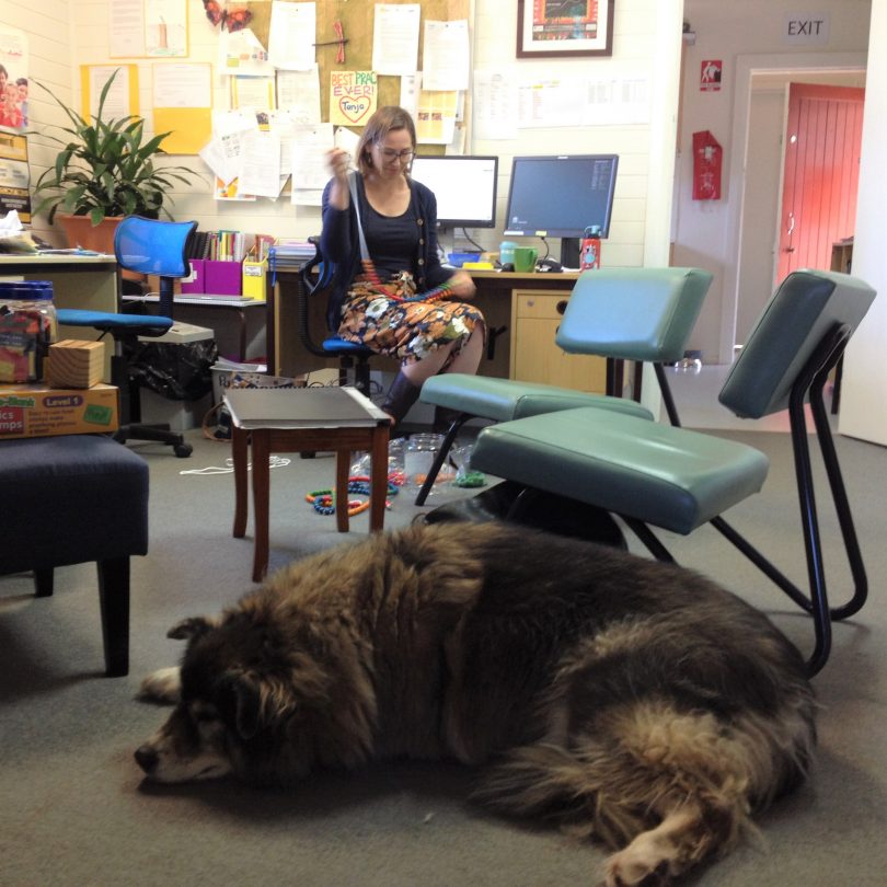 Tanja school has a family atmosphere, complete with placid school dog, Panda, who belongs to administrator Rosemary Lord. Photo: Elka Wood. 
