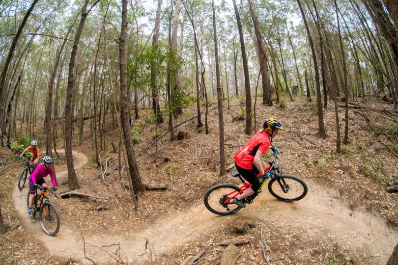 53kms of cross country track weaves through the bush behind Tathra. Photo Damien Breach