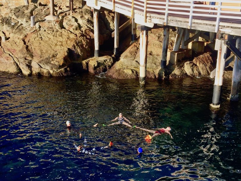 Some synchronised swimming antics under the pylons of the Tathra Wharf. Photo: Lisa Herbert 